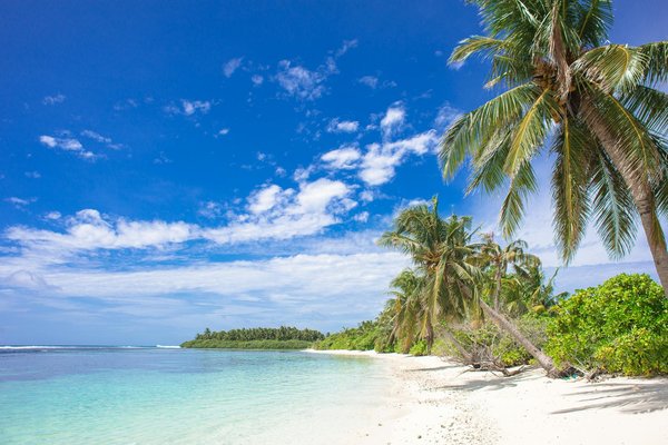 Découvrir la ville de dubaï : entre modernité et traditions